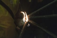 DSCF0284