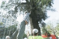 DSCF3586