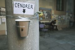 DSCF4181