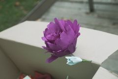 DSCF5090