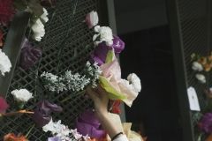 DSCF5123
