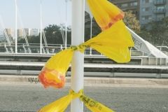 DSCF8706