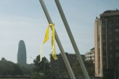 DSCF8731
