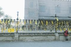 DSCF9374