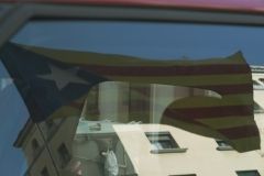 DSCF3355