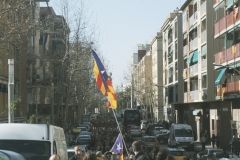 DSCF3356
