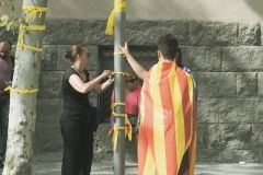DSCF4525