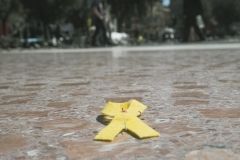 DSCF5576