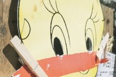 DSCF5594