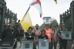 DSCF6060
