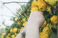 DSCF7177