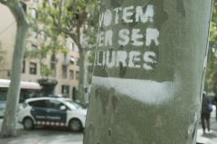 DSCF1534
